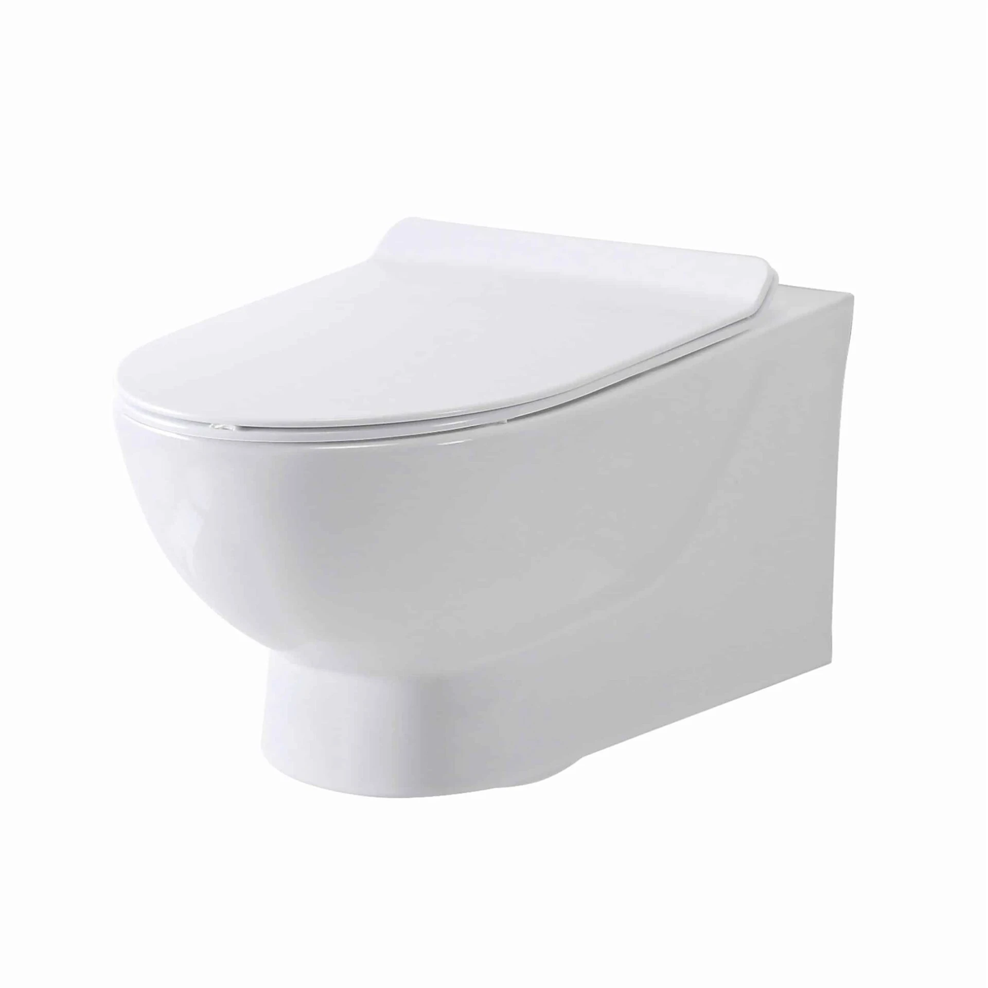 Wall Hung Toilets