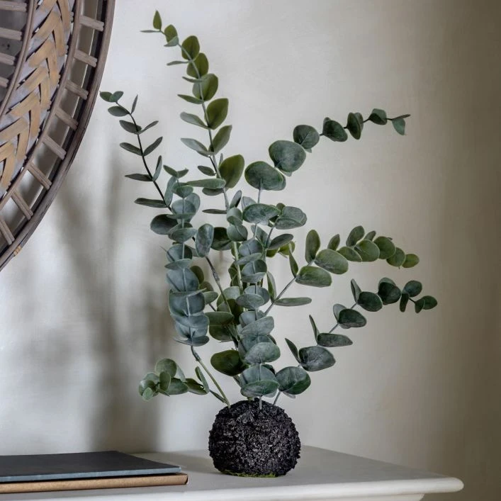 Pots & Plants