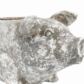 Pig Planter