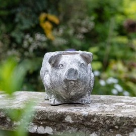 Pig Planter - Small