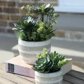 Potted Succulents Ceramic Pot Green Brown Large