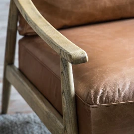 Dependex Armchair Brown