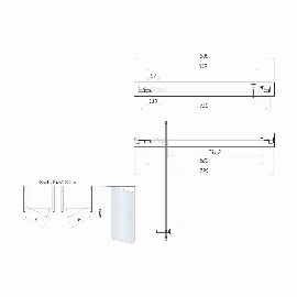 Pivot Door 800