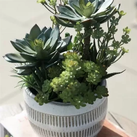 Potted Succulents Ceramic Pot Green Brown Large