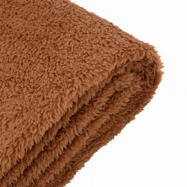 Teddy Fleece Throw