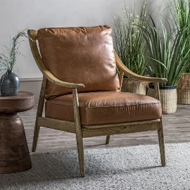 Dependex Armchair Brown