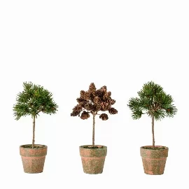 Potted Pine Cone Trees Set of 3