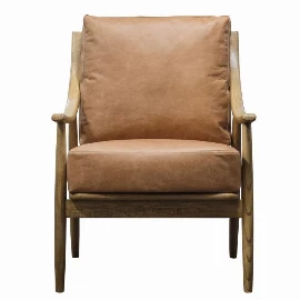 Dependex Armchair Brown