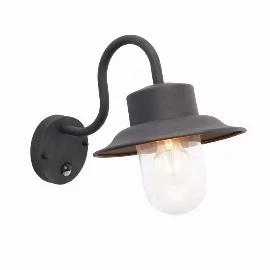 Briarwood PIR Wall Light Black