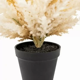 Potted Dry Grass