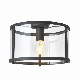 Hollis Ceiling Light