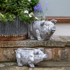 Pig Planter