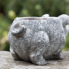 Pig Planter - Small