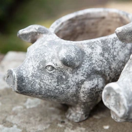 Pig Planter - Small