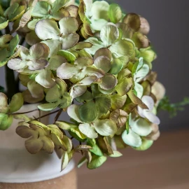 Vase with Hydrangea Arrangement