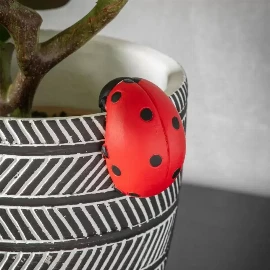 Ivy Ladybird Pot Hanger (2pk)