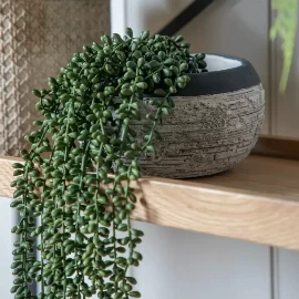String of Pearls in Soil
