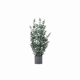 Potted Eucalyptus Bush - 920mm High