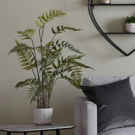 Potted Willow in Cement Pot