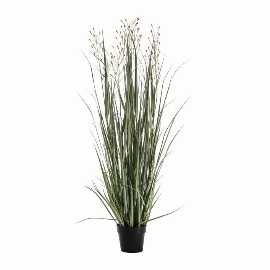 Potted Grass with Heads Green Russet