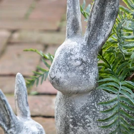 Bunny Pot