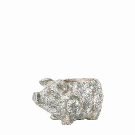 Pig Planter - Small