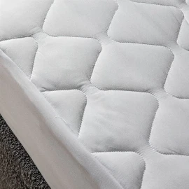 SS Anti Allergy Mattress Protector
