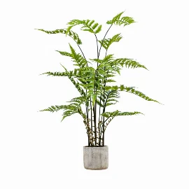 Potted Willow in Cement Pot