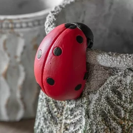 Ivy Ladybird Pot Hanger (2pk)