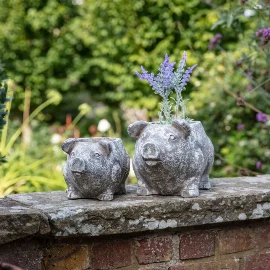 Pig Planter - Large