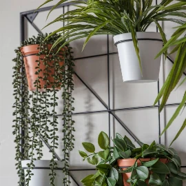 Diego Wall Planter