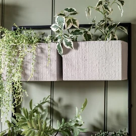 Chadwick Wall Planter