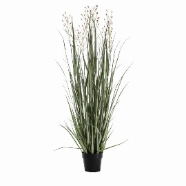 Potted Grass with Heads Green Russet