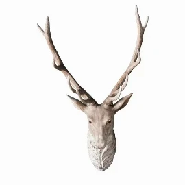 Elio Stag Head