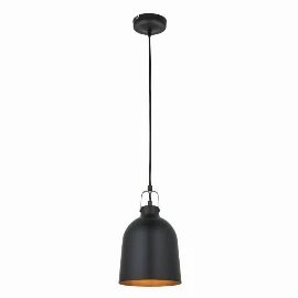 Alderwood Pendant Light