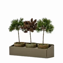 Potted Pine Cone Trees Set of 3