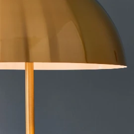 Primus Lamp