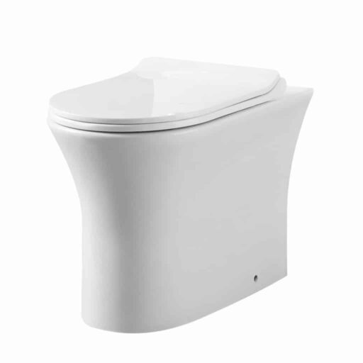 Denby Back To Wall Toilet WC