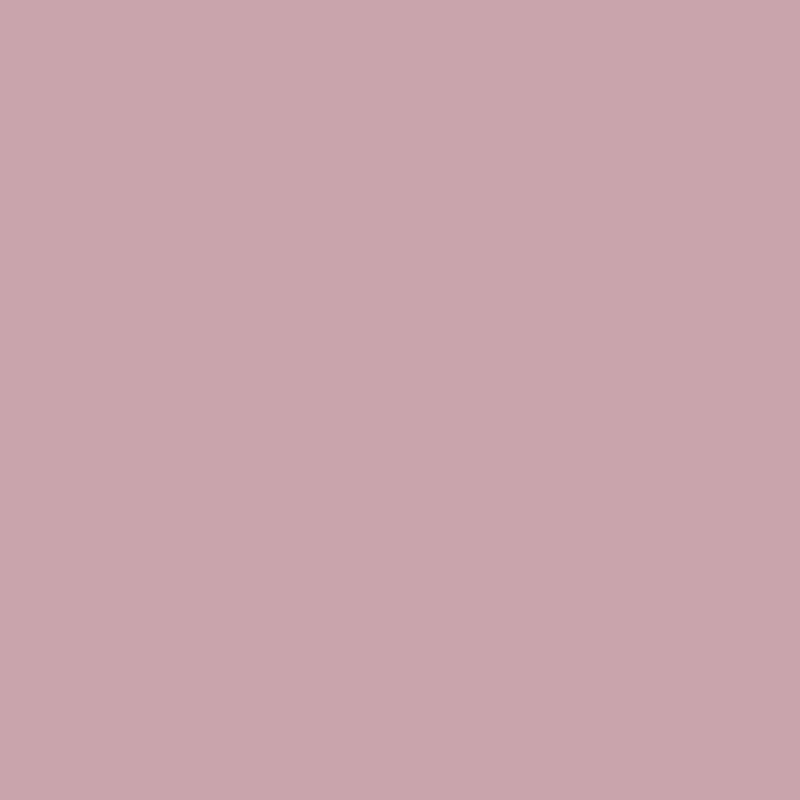 Blush Pink No.246